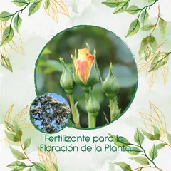 GENERICO - Fertilizante Para La Floración De Árbol Nogal Cafetero