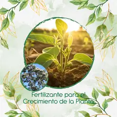 GENERICO - Fertilizante Para El Crecimiento De Árbol Nogal Cafetero