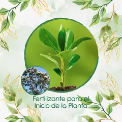 GENERICO - Fertilizante Para El Inicio De Árbol Nogal Cafetero
