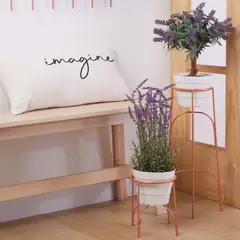 REJIPLAS - Soporte piso arco con maceta plastificado Golden Rouse