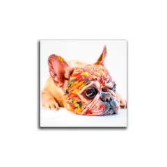 VENECIA - Cuadro Decorativo Perro Cara Pintado L 60x60 cm - impresion en Tela