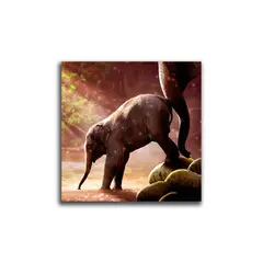 VENECIA - Cuadro Decorativo Elefante Bebe L 60x60 cm - impresion Tela Poliester