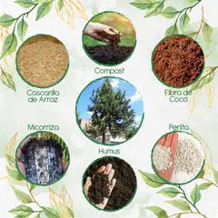 GENERICO - Kit De Acondicionadores De Suelos Para Pino Caribe