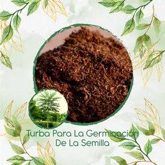 GENERICO - Turba Canadiense Especial Para Semillas De Árbol Tambor Frijolito