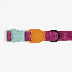 GENERICO - ZeeDog Collar Reflectante Perro ref Nox Sidus talla S
