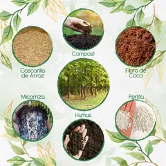 GENERICO - Kit De Acondicionadores De Suelos Para Árbol Teca Escarif