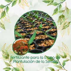 GENERICO - Fertilizante De Plantulación Para Árbol Tulipán Africano