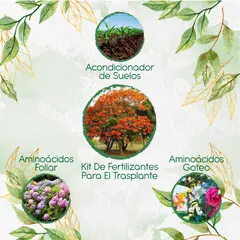 GENERICO - Kit De Fertilizantes Para El Trasplante De Árbol Tulipán Africano