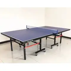 GENERICO - Mesa de Ping Pong plegable profesional