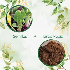 GENERICO - 200 Semillas De Acelga + Turba De Germinación