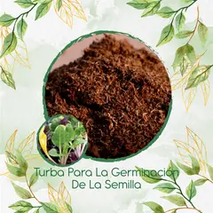 GENERICO - Turba Canadiense Especial Para Semillas De Acelga