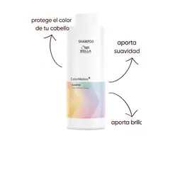 WELLA - Shampoo Color Motion 1L
