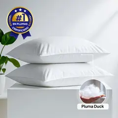 PLUMA LUNA - Almohada 100% en plumas pato estandar 50x80
