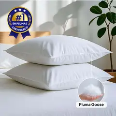 PLUMA LUNA - Almohada 100% en plumas goose ganso estandar 50x70