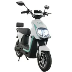 EMOVE - Bicicleta eléctrica Luigi Verde