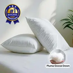PLUMA LUNA - Almohada 100% en plumas goose down pecho de ganso Queen 50x80