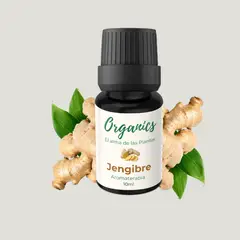 GENERICO - Aceite esencial jengibre aromaterapia