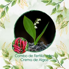 GENERICO - Combo De Fertilizantes Crema De Algas Para Ají Cacho