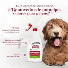 NATURES MIRACLE - NATURE MIRACLE REMOVEDOR MANCHAS Y OLORES 24OZ