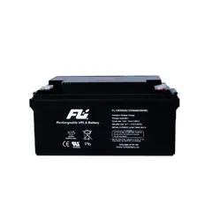 FULIBATTERY - Baterías Sellada 12V-65AH