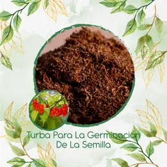 GENERICO - Turba Canadiense Especial Para Semillas De Ají Ghost