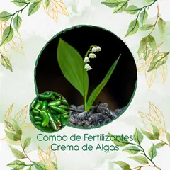 GENERICO - Combo De Fertilizantes Crema De Algas Para Ají Jalapeño