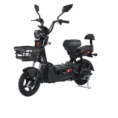 PARKLAND - Bicicleta Eléctrica 500 W Moto Eléctrica Ciclomotor