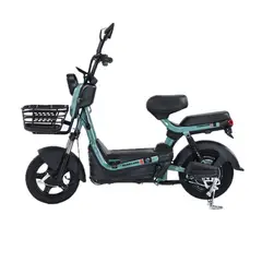 PARKLAND - Bicicleta Eléctrica 500 W Moto Eléctrica Ciclomotor