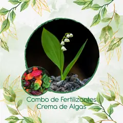 GENERICO - Combo De Fertilizantes Crema De Algas Para Ají Habanero Colores