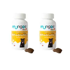 MUNGOS - Combo Probiotic X2 - Masticable Perros Sabor Carne