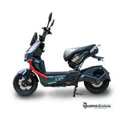 BIOBICI - Bicicleta Eléctrica IGUANA Biobicis 2025 Color ESMERALDA 800W