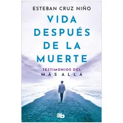 B DE BOLSILLO - Vida Después De La Muerte. Esteban Cruz Niño