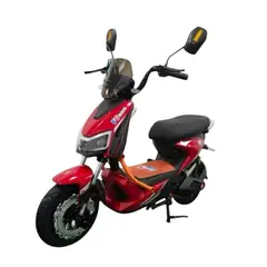 GENERICO - Moto Electrica Future City 1000 / 350W 50-60 km Rojo