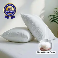 PLUMA LUNA - Almohada 100% en plumas goose down pecho de ganso King 50x90