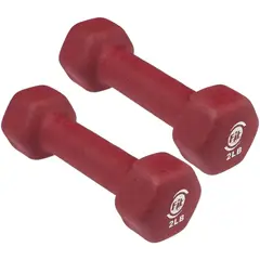 SPORTFITNESS - Mancuerna 2lb X2 Unidades Entrenamiento Gym