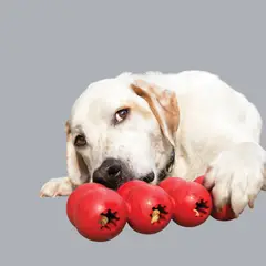 KONG COMPANY - KONG Classic Goodie Ribbon Juguete Perro talla M