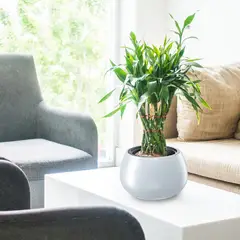 TUMATERA - Matera Heos Bowl 37 cm Blanco