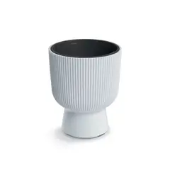 TUMATERA - Matera Milly Cup 37 cm Blanco