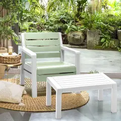 RIMAX - Combo Barú Sillón + Mesa de Centro - Verde Salvia