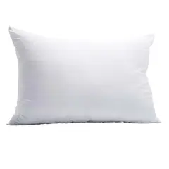AMERICAN GENERICS - Duo de almohadas para cama