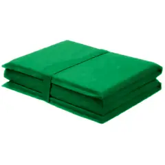 IKSA - Colchoneta Plegable Verde De Camping Grande 160x60x4