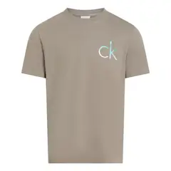 CALVIN KLEIN - Camiseta gris con logo