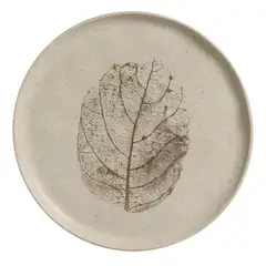 PORTO - PLATO LLANO BIO OUTONO