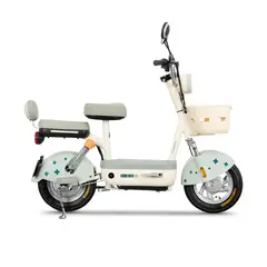 GENERICO - Bicicleta Eléctrica Recargable Silver Verde