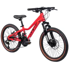 GW - Bicicleta Niño Niña Rin 20 Mtb Con Accesorios