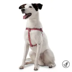 TOTTO - Arnés Para Mascota Brunno Rojo