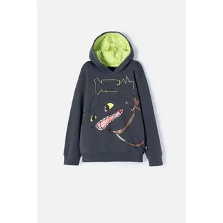 UNIVERSAL - Buzo Cómo entrenar a tu dragón gris y verde con capucha para niño