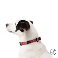 TOTTO - Collar Ajustable Para Perro Mylu L Rojo