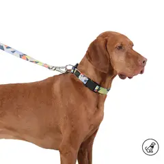 TOTTO - Collar Para Perro Ajustable Mylu Café M