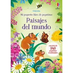 USBORNE - Paisajes Del Mundo. Pegatinas